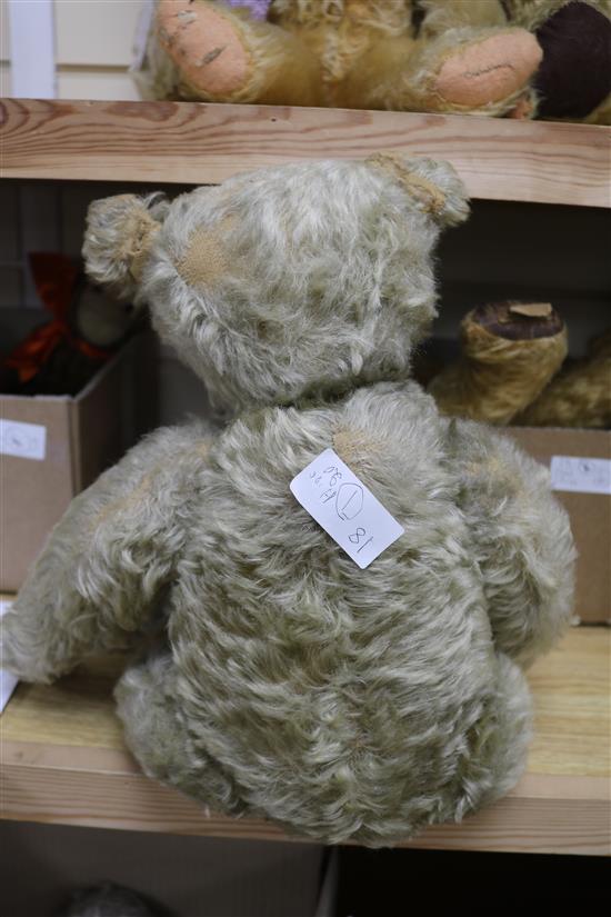 A Steiff centre seam bear, 20in.